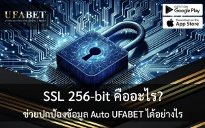 SSL 256 bit